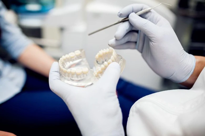 Zubní model s korunkami ukazuje dentista na výběru.