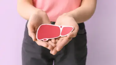 Ruce drží červený papírový model jatra na fialovém pozadí.