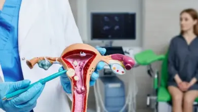 Model dělohy s myomy ukazuje lékař pacientce v ordinaci.
