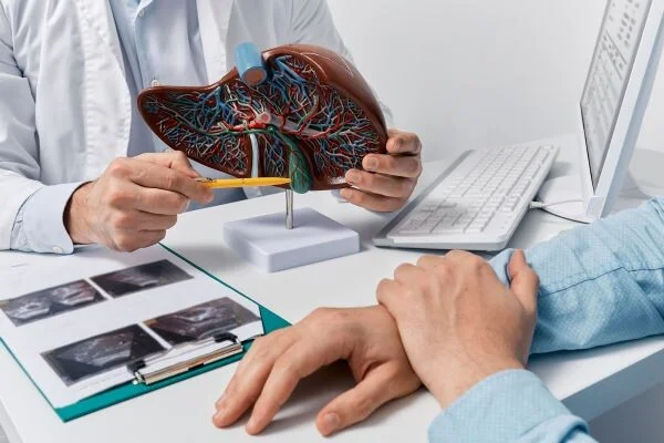 Lékař ukazuje pacientovi model jater při konzultaci o fibróze.
