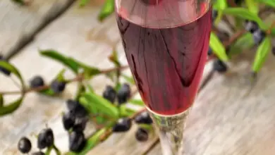 Sklenička s červeným nápojem vedle větví černých bobulí myrty na dřevě.